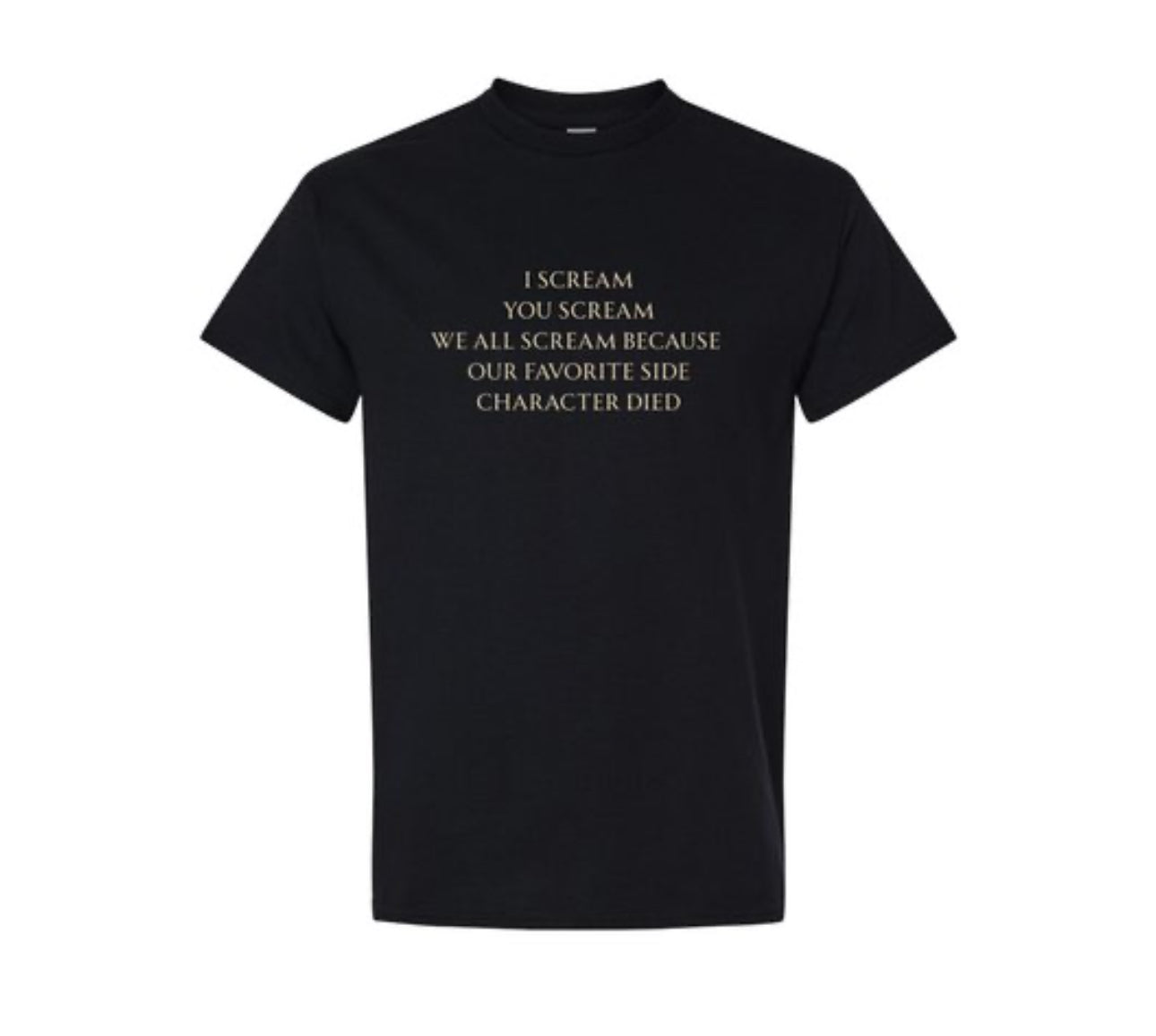 Not the Beloved Side Character! T-shirt