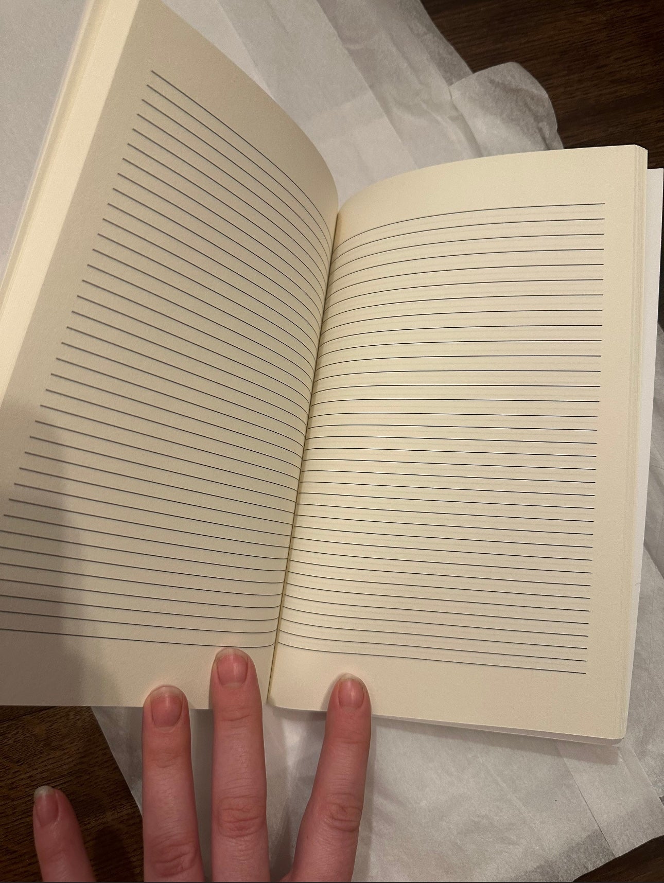 Celestial Design Journal, Lined
