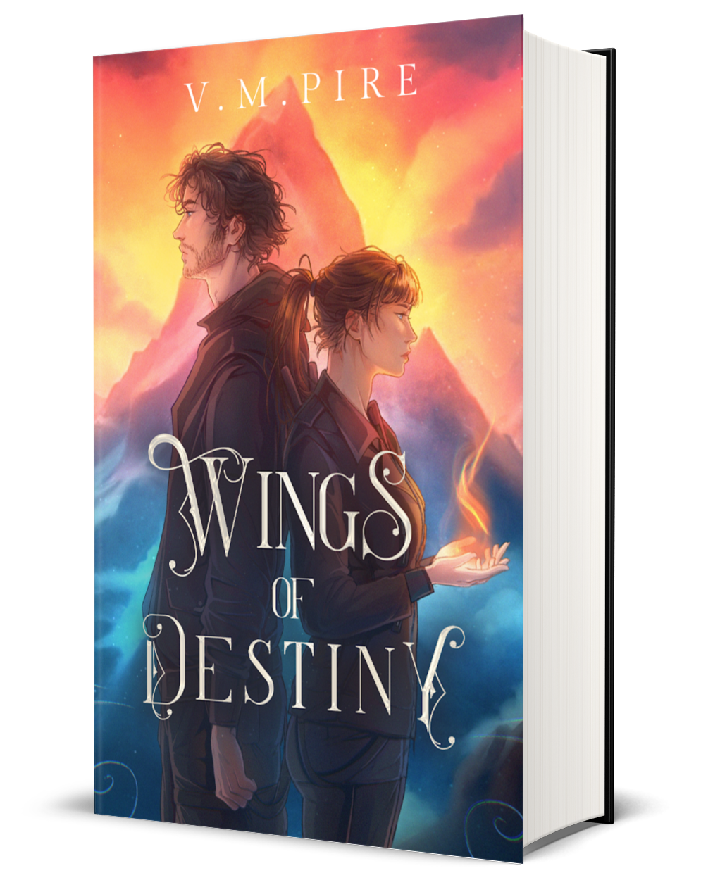 Wings of Destiny (The Erin Snow Series Book One) Special Edition Hardback